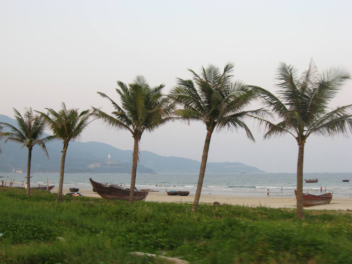 Palm-lined sand on the city's east coast, minutes from My An