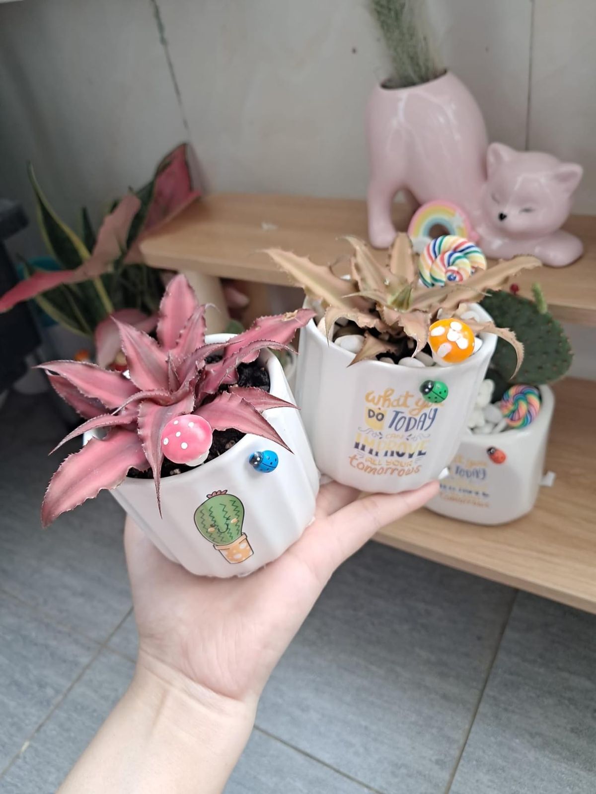 Sam's Garden - Cây Cảnh Mỹ Khê 8
