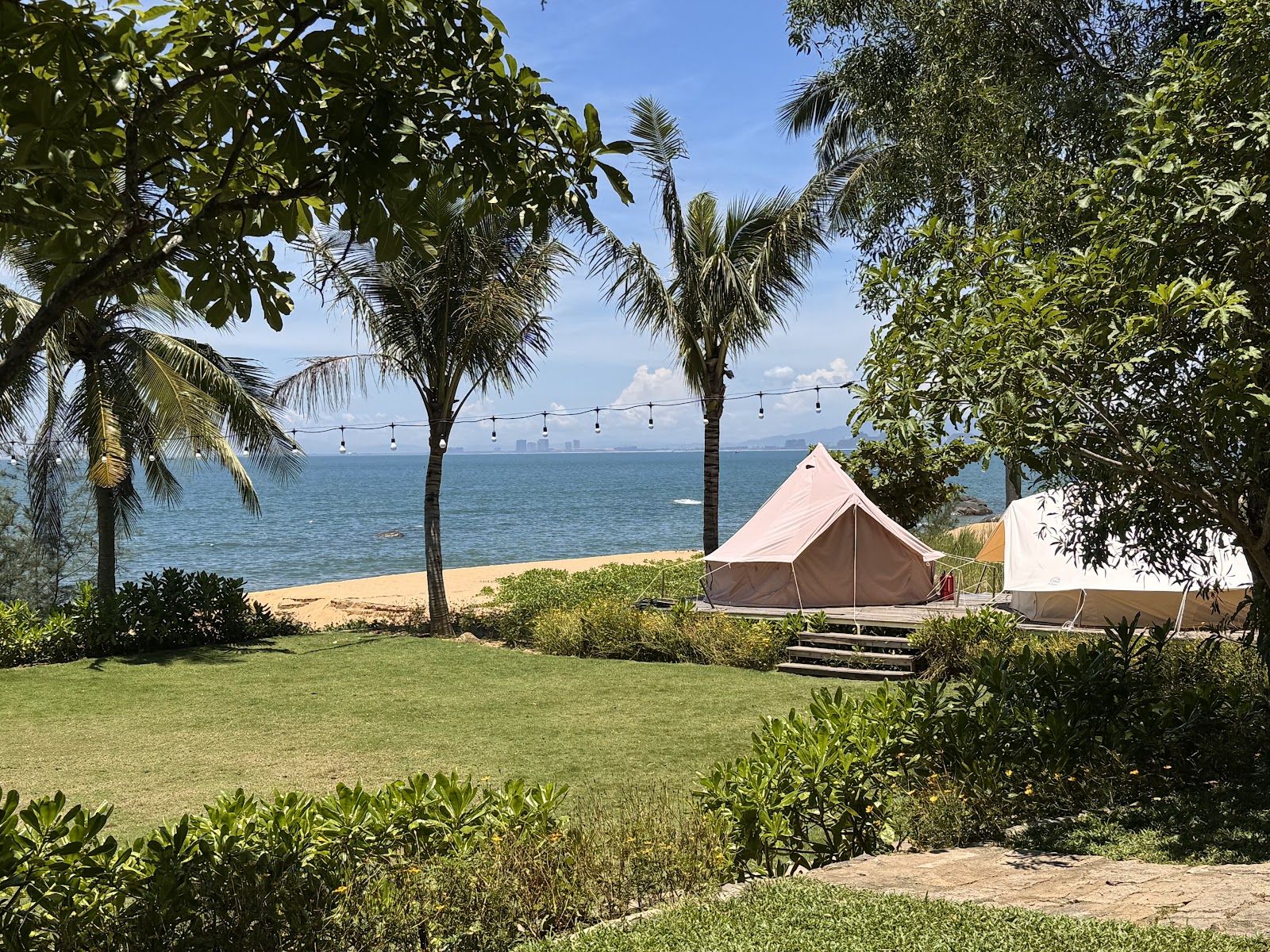 Cá Chuồn Space