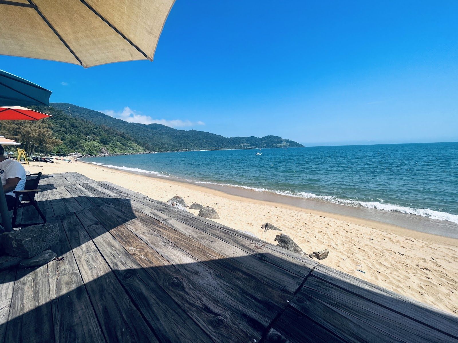 Cá Chuồn Space