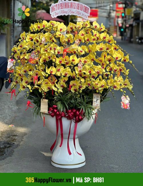 365HappyFlower - Shop Hoa Lan Hồ Điệp Cẩm Lệ