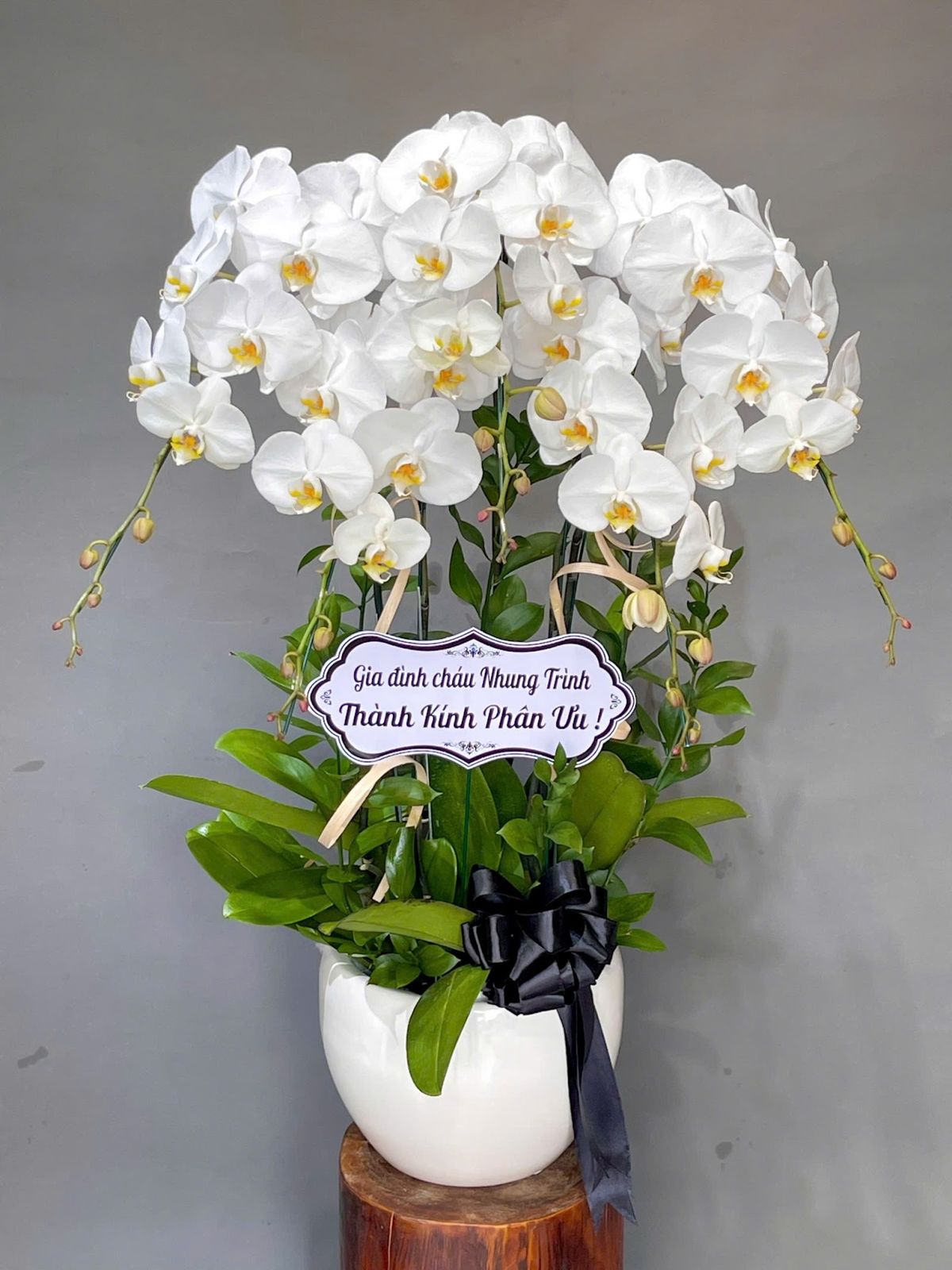 365HappyFlower - Shop Hoa Lan Hồ Điệp Cẩm Lệ