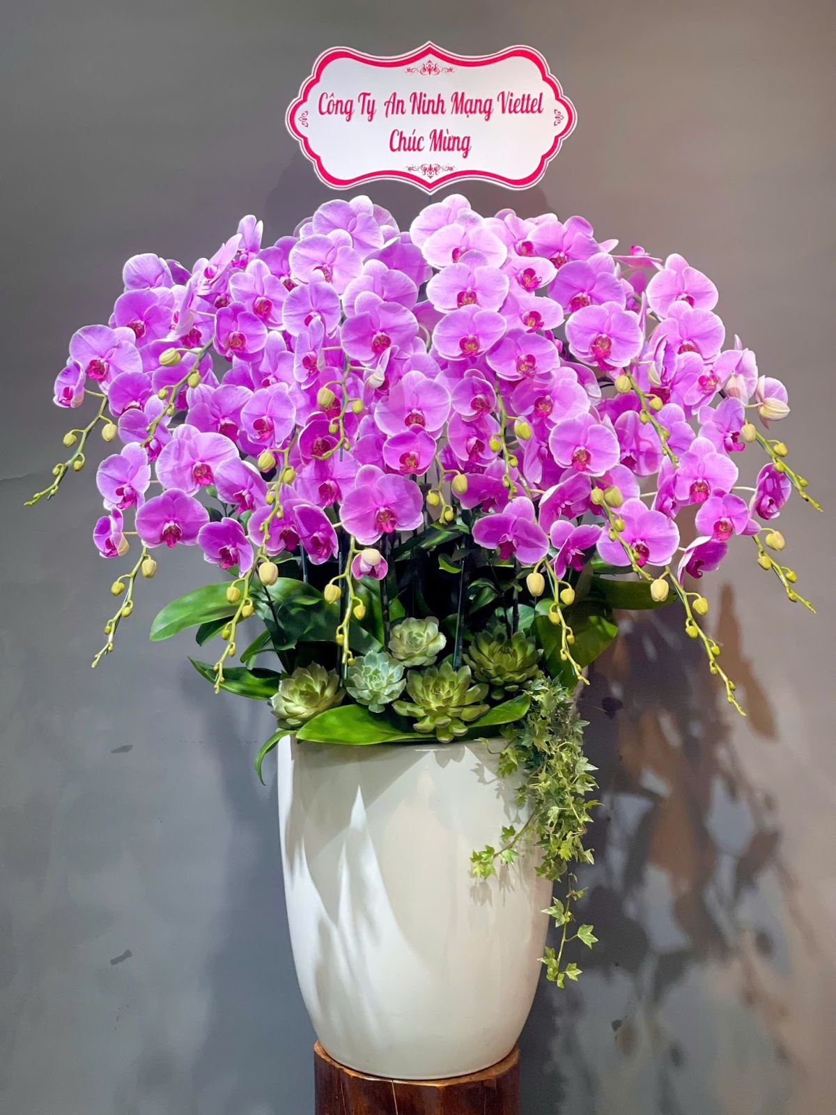 365HappyFlower - Shop Hoa Lan Hồ Điệp Cẩm Lệ